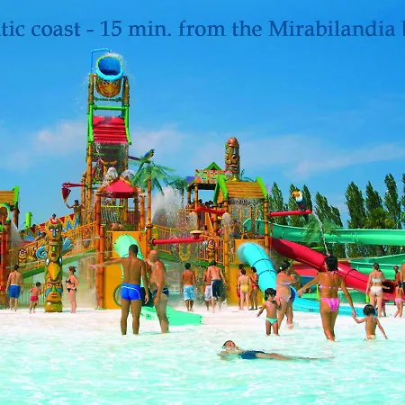 Wivien 체제나티코